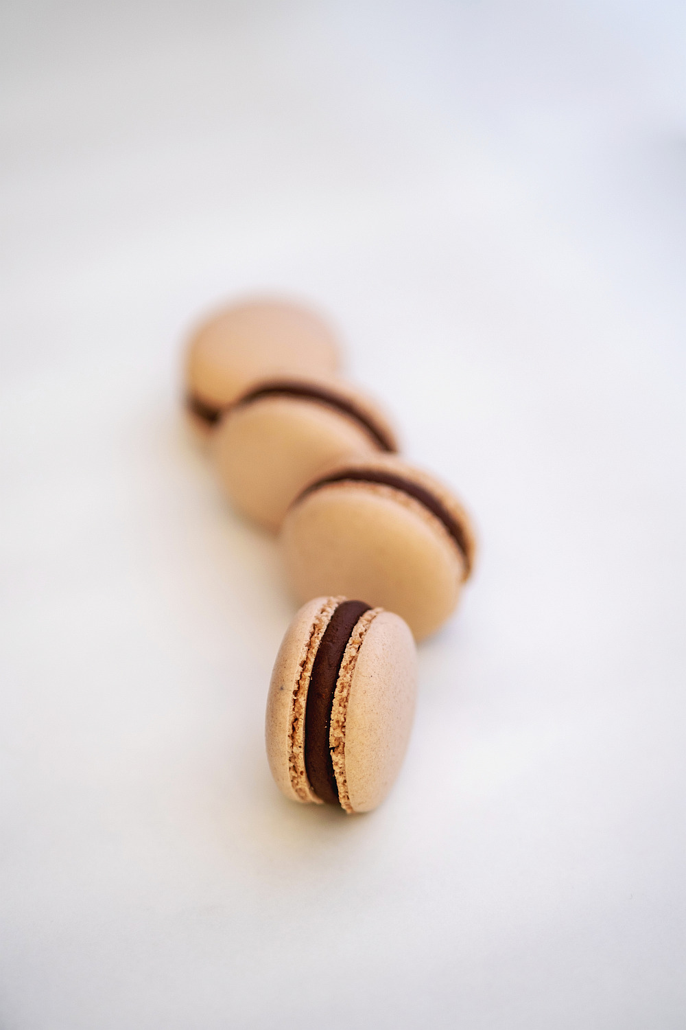 Macarons mit Schokolade, Orange und Haselnuss - Tonkabohne und Zitrone ...